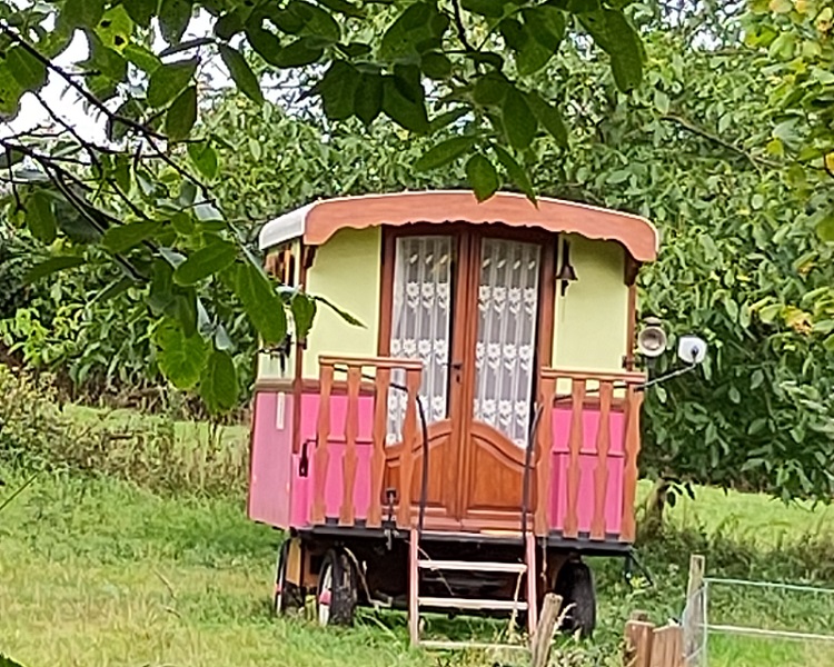 Hébergement insolite > Roulotte Pivoine